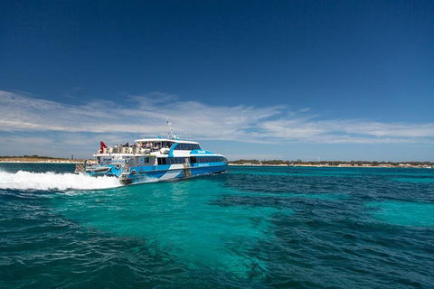 Rottnest Island Bike & Ferry Package From Fremantle - Accommodation Main Beach 5