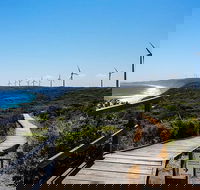 Torndirrup National Park and Bay Highlights - Accommodation Main Beach