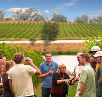Yarra Valley Wine and Winery Tour from Melbourne - Accommodation Main Beach