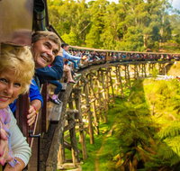 Puffing Billy Steam Train  Healesville Wildlife Sanctuary Tour From Melbourne - Accommodation Main Beach