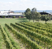 Puffing Billy Train and Yarra Valley Food and Wine Day Trip from Melbourne - Accommodation Main Beach
