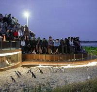 Small-Group Phillip Island Day Trip from Melbourne with Penguin Plus Viewing - Accommodation Main Beach