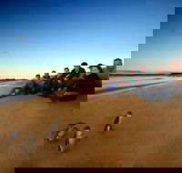Phillip Island Ultimate Penguin Eco Tour or Skybox Experience - Accommodation Main Beach