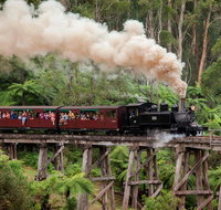 Melbourne Combo Great Ocean Road Puffing Billy Moonlit Sanctuary  Penguins - Accommodation Main Beach
