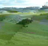 Day Tour of Phillip Island  Surrounding Region - Accommodation Main Beach