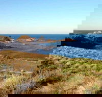 Phillip Island Walking  Bird Watching Tour - Accommodation Main Beach