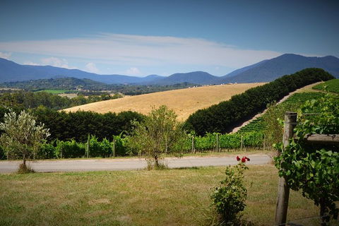 Romantic Private Yarra Valley Day Trip For Two From Melbourne - Accommodation Main Beach 0