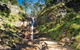 Grampians National Park Small-Group Eco Tour From Melbourne - thumb 22