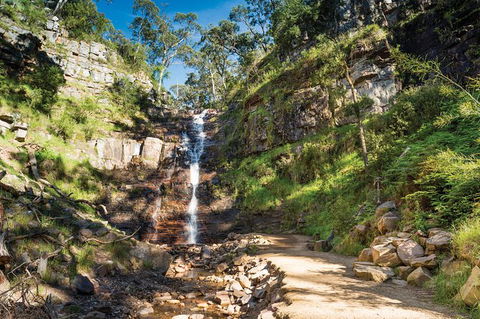 Grampians National Park Small-Group Eco Tour From Melbourne - Accommodation Main Beach 22