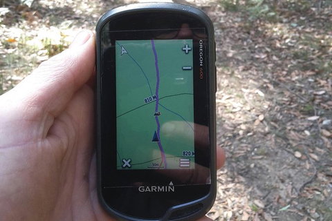 GPS Guided Walks In The Daylesford Forest - Accommodation Main Beach 0