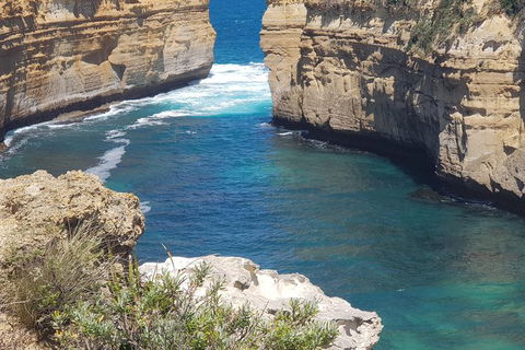 Adventure Sunset Three Day Great Ocean Road Tour - Accommodation Main Beach 27