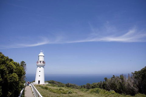 Adventure Sunset Three Day Great Ocean Road Tour - Accommodation Main Beach 24