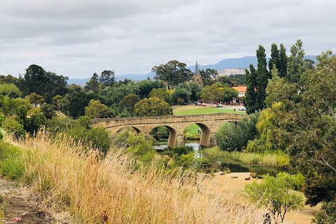 Day Tour In Mt. Field, Mt. Wellington, Bonorong Wildlife Sanctuary And Richmond - Accommodation Main Beach 6