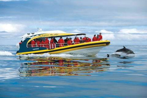 3-Hour Tasman Peninsula Wilderness Cruise From Port Arthur - Accommodation Main Beach 5