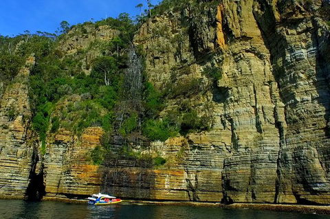 3-Hour Tasman Peninsula Wilderness Cruise From Port Arthur - Accommodation Main Beach 7