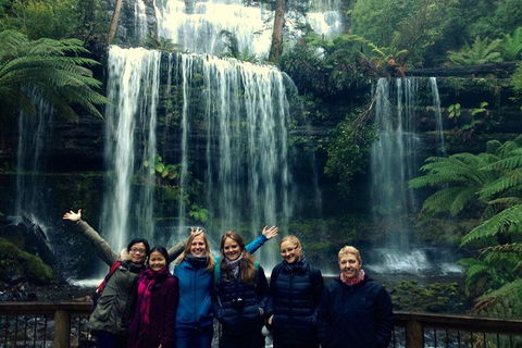 Mt Field National Park Active Day-Trip Including Bonorong And Mt Wellington - Accommodation Main Beach 1