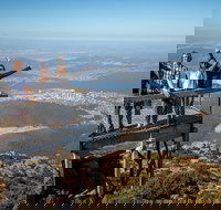 Mt Field National Park Active Day-Trip Including Bonorong and Mt Wellington