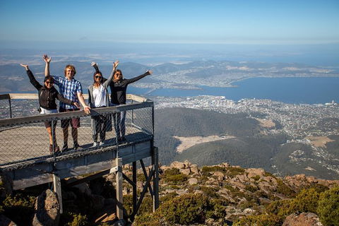 Mt Field National Park Active Day-Trip Including Bonorong And Mt Wellington - Accommodation Main Beach 0