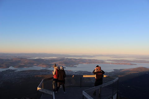Mt Field National Park Active Day-Trip Including Bonorong And Mt Wellington - Accommodation Main Beach 7