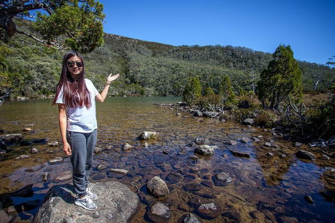 Mt Field National Park Active Day-Trip Including Bonorong And Mt Wellington - Accommodation Main Beach 12