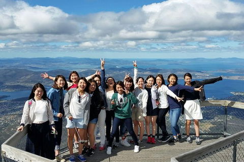 Mt Field National Park Active Day-Trip Including Bonorong And Mt Wellington - Accommodation Main Beach 3