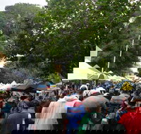 Hobart Half-Day Sightseeing Coach Tram Tour