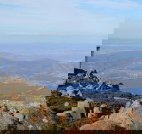 Mt Wellington Tour and MONA Admission