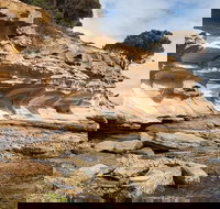 Maria Island premium private photo-oriented day tour from Hobart