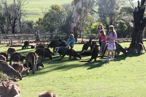 The Port Arthur MEGA Day Trip From Hobart - Accommodation Main Beach 5