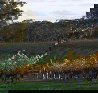 Barossa Valley with Hahndorf Tour from Adelaide - Accommodation Main Beach