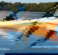Adelaide Dolphin Sanctuary and Ships Graveyard Kayak Tour - Accommodation Main Beach