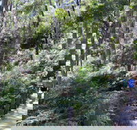 Self-Guided Waterfall Gully to Mount Lofty Hike from Adelaide - Accommodation Main Beach