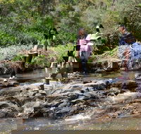 Small Group Bush Walk  BBQ with Wine Day Trip from Adelaide - Accommodation Main Beach