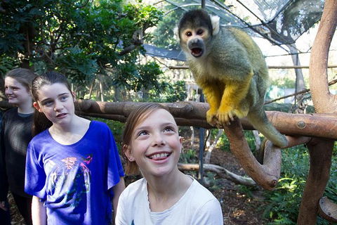 Adelaide Zoo Behind The Scenes Experience: Squirrel Monkey Feeding - Accommodation Main Beach 1