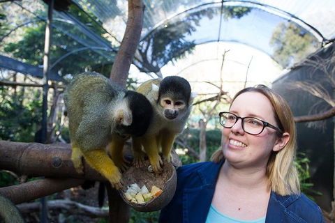 Adelaide Zoo Behind The Scenes Experience: Squirrel Monkey Feeding - Accommodation Main Beach 0