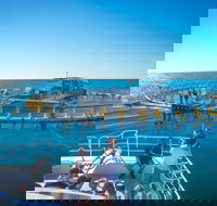 2 Hour Aquarium Tour - Accommodation Main Beach