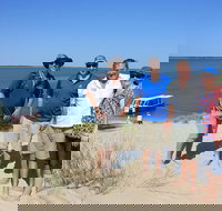 Coorong National Park Wildlife Cruise from Goolwa - Accommodation Main Beach