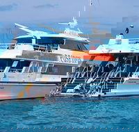 Poseidon Outer Great Barrier Reef Snorkeling and Diving Cruise from Port Douglas