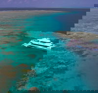 Silversonic Outer Great Barrier Reef Dive and Snorkel Cruise from Port Douglas