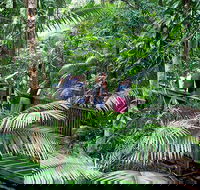 Full Day Daintree Rainforest and Mossman Gorge Tour