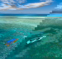 Ocean Safari Great Barrier Reef Experience in Cape Tribulation - Accommodation Main Beach