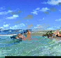 Horse Swimming Ride from Rainbow Beach - Accommodation Main Beach