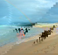 Rainbow Beach Horse Ride - Accommodation Main Beach