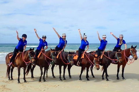 Rainbow Beach Horse Ride - Accommodation Main Beach 4