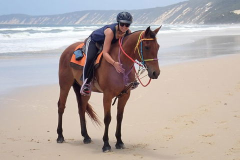 Rainbow Beach Horse Ride - Accommodation Main Beach 2