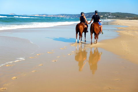 Rainbow Beach Horse Ride - Accommodation Main Beach 3