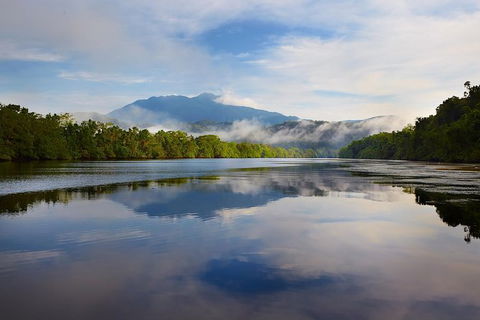 Daintree River Dawn Cruise - Accommodation Main Beach 5
