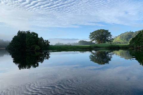 Daintree River Dawn Cruise - Accommodation Main Beach 3