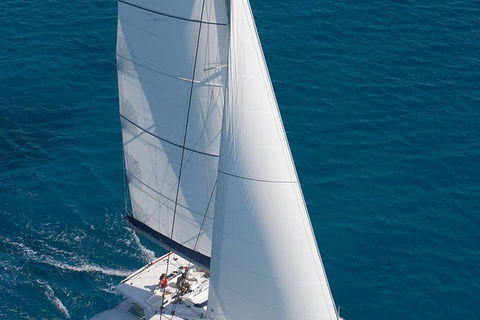 Afternoon Low Isles Snorkeling And Sailing Cruise From Port Douglas - Accommodation Main Beach 1
