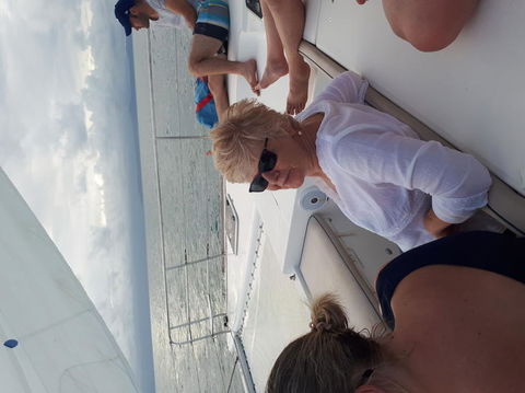 Afternoon Low Isles Snorkeling And Sailing Cruise From Port Douglas - Accommodation Main Beach 5